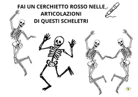 anteprima - Esercizi - ARTICOLAZIONI DEL CORPO utile anche per sostegno - Pagina di copertina