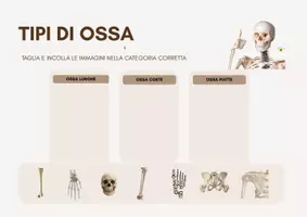 anteprima - Esercizi - LO SCHELETRO E LE OSSA materiali utili anche per il sostegno - Pagina 2