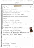 Vorschau - Arbeitsblätter - Sachtext Hamster - Seite 2