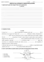 anteprima - Esercizi - Verifica apparato cardiocircolatorio - Pagina di copertina