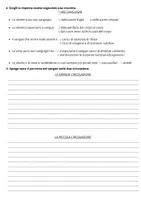anteprima - Esercizi - Verifica apparato cardiocircolatorio - Pagina 1