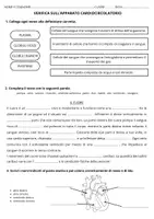 anteprima - Esercizi - Verifica apparato cardiocircolatorio - Pagina 2