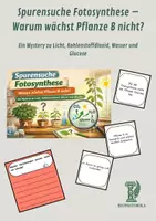 Vorschau - Arbeitsblätter - Spurensuche Fotosynthese – Warum wächst Pflanze B nicht? Ein Mystery zu Licht, Kohlenstoffdioxid, Wasser und Glucose - Deckblatt