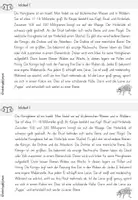 Vorschau - Unterrichtsreihen - Biene | Forscherheft - Seite 3