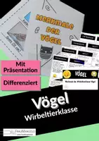 Vorschau - Arbeitsblätter - Merkmale der Wirbeltierklasse Vögel - Arbeitsblatt zum Falten - Deckblatt