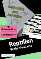 Vorschau - Arbeitsblätter - Merkmale Wirbeltierklasse Reptilien - faltbares Büchlein - Deckblatt