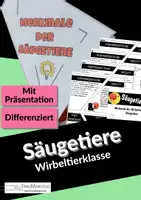 Vorschau - Arbeitsblätter - Merkmale Wirbeltierklasse Säugetiere - Kreatives Arbeitsblatt zum Falten - Deckblatt