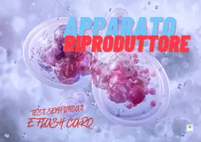 anteprima - Flashcard - APPARATO RIPRODUTTORE E FLASH CARDS - Pagina di copertina