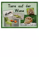 Vorschau - Stundenentwürfe - großes Materialpaket "Wiesentiere" - Seite 2