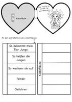 Vorschau - Arbeitsblätter - Mein Tierforscher Lapbook | forschen - entdecken - lernen - Seite 3
