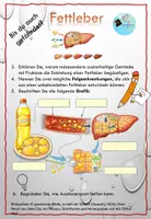 Vorschau - Arbeitsblätter - Fettleber bei Jugendlichen: Bist du gefährdet? - Seite 2