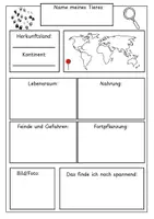 Vorschau - Arbeitsblätter - TIERFORSCHER | Leitfaden und Steckbrief - Seite 1
