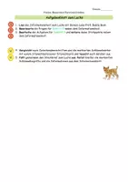 Vorschau - Arbeitsblätter - Tierbeschreibung Luchs - Seite 3