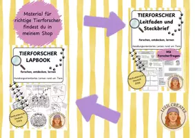 Vorschau - Mal- und Bastelvorlagen - Tierforscher Ausmalbilder - Seite 2