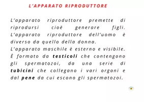 anteprima - Flashcard - APPARATO RIPRODUTTORE E FLASH CARDS - Pagina 1
