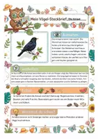 Vorschau - Arbeitsblätter - Vögel im Sommer – XXL Materialpaket (16 Vögel, Steckbriefe, Ausmalbilder, Präsentation) - Seite 3