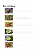 Vorschau - Spiele - Maxi-Kombipaket Schmetterling: Faltbuch, Arbeitsblatt, Powerpoint, große Bildkarten und interaktives Power-Point-Quiz - Seite 2