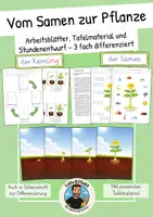 Vorschau - Stundenentwürfe - Frühling - Vom Samen zur Pflanze (Tafelmaterial und 3fach differenzierte Arbeitsblätter) - Deckblatt