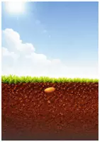 Vorschau - Stundenentwürfe - Frühling - Vom Samen zur Pflanze (Tafelmaterial und 3fach differenzierte Arbeitsblätter) - Seite 1