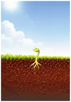 Vorschau - Stundenentwürfe - Frühling - Vom Samen zur Pflanze (Tafelmaterial und 3fach differenzierte Arbeitsblätter) - Seite 2