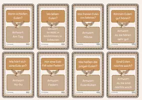 Vorschau - Spiele - Eulen & Leitern: 2-fach Differenziertes Wissenspiel - Seite 3
