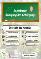 Vorschau - Arbeitsblätter - Experiment Reinigung des Gehörgangs - Deckblatt