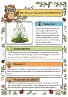Vorschau - Arbeitsblätter - Pflanzen im Frühling XXL: Steckbriefe, 6 Strategien, Quiz, Ausmalbilder & Interaktive Präsentation! - Seite 3
