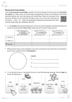 Vorschau - Arbeitsblätter - WAH: Soziale und ökonomische Konsumfolgen (inkl. Lösungen) - Seite 3