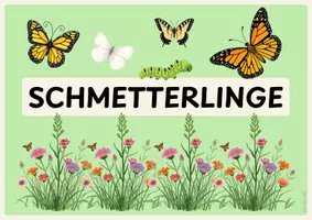 Vorschau - Poster - Schmetterlinge: Themenplakat (Freebie) - Seite 1