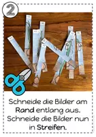 Vorschau - Unterrichtsreihen - Zickzack Bilder - Agamographen Frühling / Frühblüher - Vorlagen & Anleitung - Seite 3