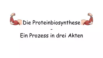 Vorschau - Stundenentwürfe - Proteinbiosynthese - Stationenlernen zu Transkription, Prozessierung & Translation | Arbeitsblätter mit Lösungen, Präsentation, Transferaufgaben & Verlaufsplan | Oberstufe Biologie - Seite 3