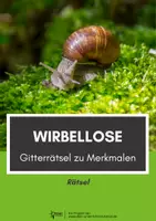 Vorschau - Arbeitsblätter - Wirbellose: Gitterrätsel zu den Merkmalen - Deckblatt