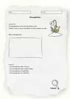 Vorschau - Arbeitsblätter - Das Selbstlernheft Thema Frühblüher - Seite 3