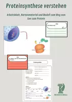 Vorschau - Arbeitsblätter - Proteinsynthese verstehen – Arbeitsblatt, Kartenmaterial und Modell zum Weg vom Gen zum Protein - Deckblatt