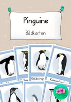 Vorschau - Bildkarten - Pinguine - Bildkarten🐧 - Deckblatt