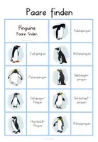 Vorschau - Spiele - Pinguine🐧 Paare finden - spielerisch lernen - Seite 3