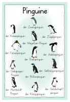 Vorschau - Spiele - Pinguine🐧 Wortspeicher - Seite 1