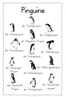 Vorschau - Spiele - Pinguine🐧 Wortspeicher - Seite 3