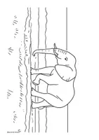 Vorschau - Mal- und Bastelvorlagen - Ausmalbilder / Afrika / Giraffe / Elefant / Bilder Afrika / KITA - Seite 2