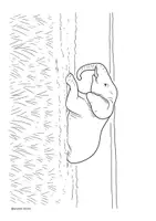 Vorschau - Mal- und Bastelvorlagen - Ausmalbilder / Afrika / Giraffe / Elefant / Bilder Afrika / KITA - Seite 3