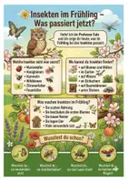 Vorschau - Mal- und Bastelvorlagen - FRÜHLING NATUR IM SACHUNTERRICHT – Tiere, Pflanzen, Insekten & Vögel XXL Komplettpaket - Seite 2