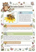 Vorschau - Arbeitsblätter - Insekten im Frühling XXL (12 Insekten , Steckbriefe, Ausmalbilder, Präsentation) - Seite 3