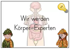 Vorschau - Poster - Wir werden Körper-Experten - Reihentransparenz - Seite 3