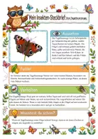Vorschau - Mal- und Bastelvorlagen - Insekten im Sommer XXL - (16 Insekten , Steckbriefe, Ausmalbilder, Präsentation) - Seite 3