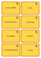 Vorschau - Quiz - Quizkarten zur Honigbiene - mit Lösungen - Seite 2