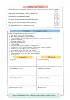 Vorschau - Stundenentwürfe - Entstehung des Römischen Reiches - Scaffoldings - Seite 3