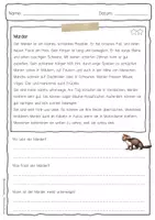 Vorschau - Arbeitsblätter - Sachtext Marder - Seite 3