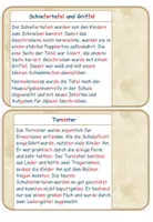 Vorschau - Arbeitsblätter - Schulmaterial früher vs heute Material - Seite 2