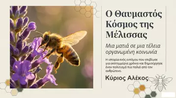 Προεπισκόπηση - Υποστηρικτικό υλικό / Ειδική αγωγή - Μέλισσα- Κοινωνία των Μελισσών- Πληροφορίες - Εξώφυλλο