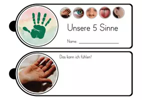 Vorschau - Arbeitsblätter - Unsere 5 Sinne - Fächer und Stationen - Seite 1